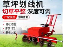 點(diǎn)擊查看詳細(xì)信息<br>標(biāo)題：草皮劃線(xiàn)機(jī) 閱讀次數(shù)：2315